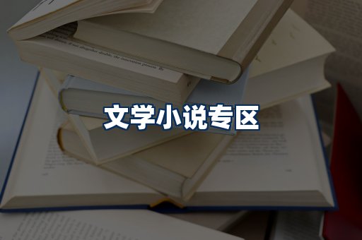 文学小说PDF展示